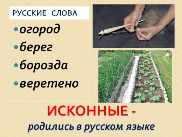 Происхождение слова "борозда"