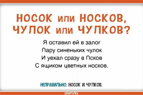 Носок или носков. Чулок или чулков