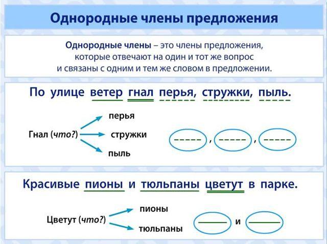 Однородные члены предложения