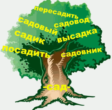 Однокоренные слова к слову "сад"