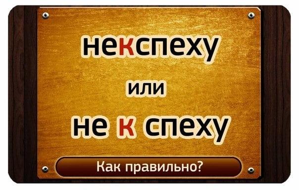 "Не к спеху" или "некспеху"