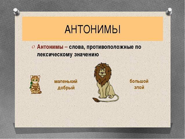 антонимы это, что такое антонимы