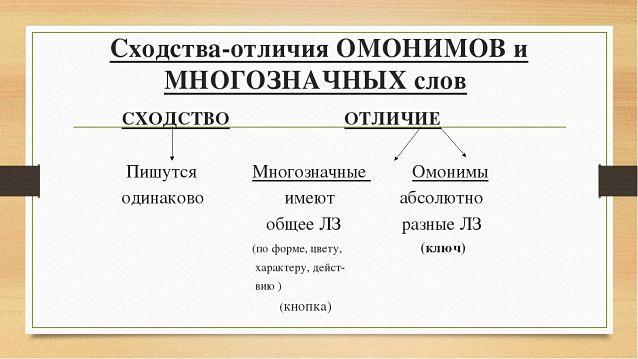 Отличие омонимов от многозначных слов