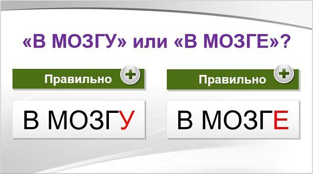 В мозгу или в мозге