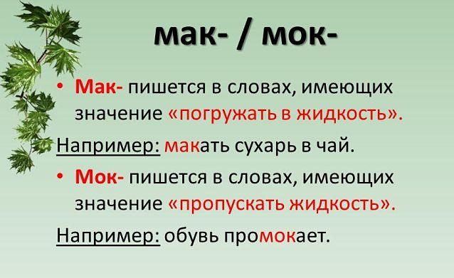 Корень мак мок