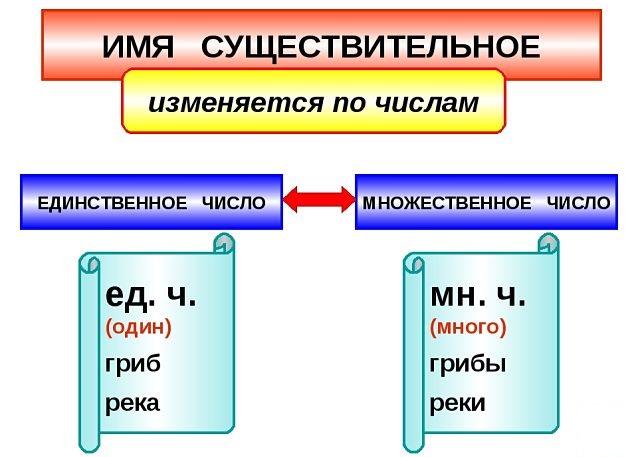 Число имен существительных